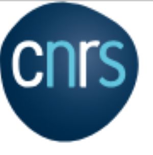 CNRS 300 logo