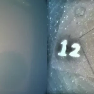 Lolaark Video Enhancement Software